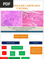 Usmp Histologia de Cartilago y Hueso 1