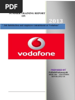 Vodafone Pallabi