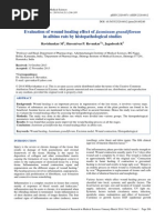 Evaluation of Wound Healing Effect of Jasminum Grandiflorum in Albino Rats by Histopathological Studies