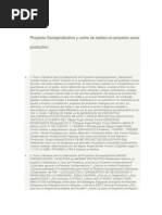 Proyecto Socioproductivo y Como Se Realiza Un Proyecto Socio Productivo