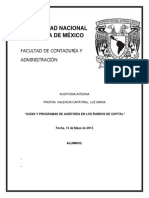 Guías y Programas de Auditoria en Los Rubros de Capital