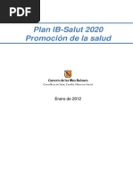 Plan IBSALUT 2020 PDF