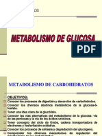 Metabolismo de Glucosa