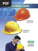 Cascos MSA