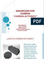 Adsorcion Por Carbon