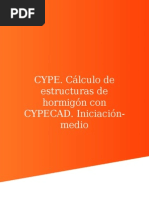 Cype PDF