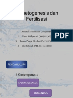 Gametogenesis Dan Fertilisasi (Kelompok 2)