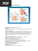 El Sistema Respiratorio