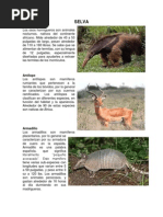 Animales de Selva