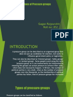 Types and Functions of Pressure Groups