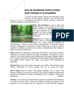 En Qué Lugares de Guatemala Existe La Mayor Explotación Forestal en La Actualidad