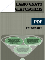 Labiognatopalatoschizis PP