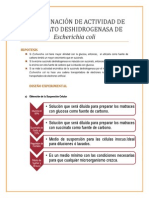 PRÁCTICA 3. DETERMINACIÓN DE ACTIVIDAD DE SUCCINATO DESHIDROGENASA EN Escherichia Coli