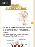 Tracto Rubroespinal