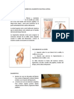 Lesiones Del Ligamento Colateral Lateral