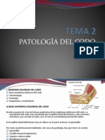 OSTEOPATÍA CODO Teoria PDF