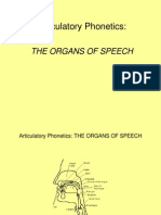 Organs of Speech