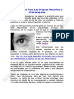 Tratamiento para Las Moscas Volantes o Moscas Flotantes: Cual Es El Mejor Tratamiento para Las Moscas Flotantes o Moscas Volantes