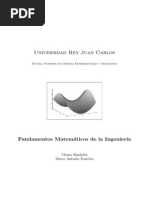 Fmatematicos 020903