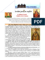 Sf. Ih. Calinic de La Cernica PDF