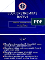 10 Blok Ekstremitas Bawah CPD 2012