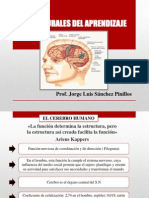 Bases Neurales Del Aprendizaje Final