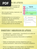 Metabolismo de Lipidos