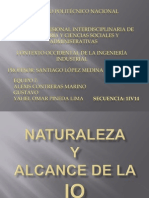 Naturaleza y Alcance de La IO