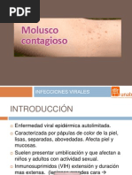 Molusco