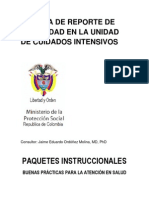 Sistema de Reporte de Seguridad en La Unidad de Cuidado Intensivo