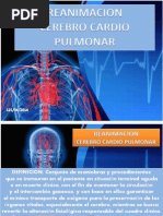 Reanimacion CCP