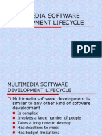 Multimedia Software Development Lifecycle