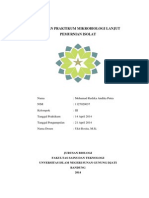 Laporan Praktikum Mikrobiologi Lanjut