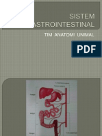 Sistem Gastrointestinal