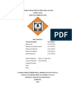 Laporan Praktikum Mekanika Fluida H.02 Tekanan Hidrostatis