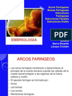 Embriologia 120831150756 Phpapp02