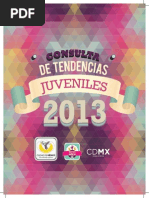 Consulta de Tendencias Juveniles 2013