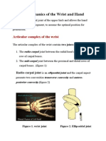 Biomechanics of The Wrist and Hand