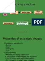 Basic Virus Structure: Capsid Protein Nucleocapsid Naked Capsid Virus DNA or +