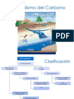 6a. Metabolismo de Carbono