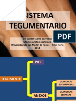 Sistema Tegumentario - Usmp 2014