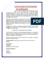 Animales en Peligro de Extinción en Honduras