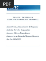 Ensayo Empresas