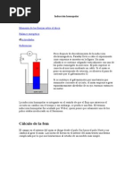 Inducción Homopolar