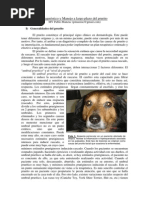 Generalidades Prurito Canino