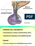 # 1 Gigantismo-Acromegalia