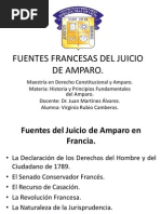 Fuentes Francesas Del Juicio de Amparo