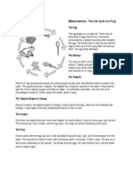 He Egg: Metamorphosis - The Life Cycle of A Frog