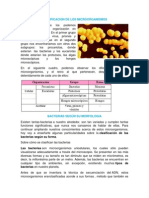 Clasificacion de Los Microorganismos