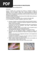 Clasificación de Parasitología